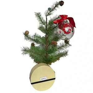 Tous‎ Large Gift Box